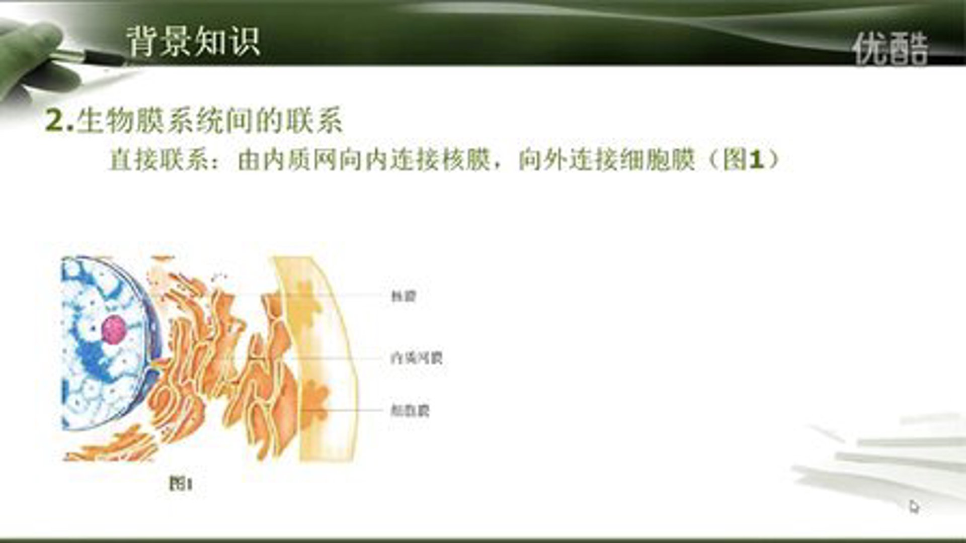 铭建膜结构
